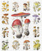 Alexander Viazmensky 1000-Piece Jigsaw Puzzle-
completed