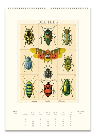 A vintage-style wall calendar page featuring a large central illustration of various beetles and a butterfly, with monthly calendar grids along the bottom. The page has a cream background and the insects are rendered in many natural colors including green, yellow, red, blue, and black.