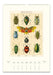 A vintage-style wall calendar page featuring a large central illustration of various beetles and a butterfly, with monthly calendar grids along the bottom. The page has a cream background and the insects are rendered in many natural colors including green, yellow, red, blue, and black.