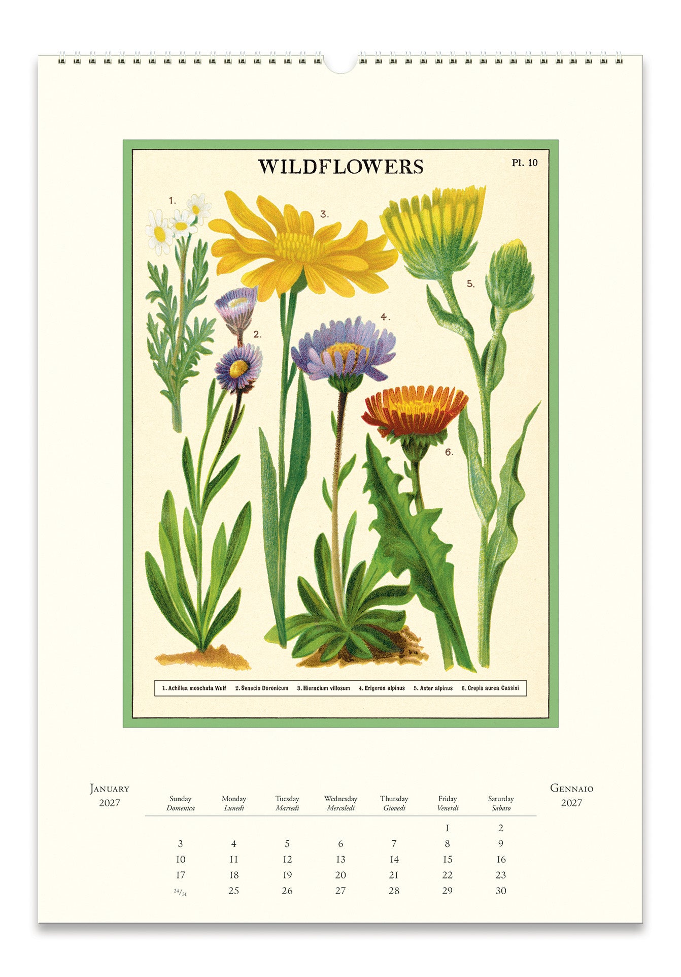 Example wall calendar page titled 'WILDFLOWERS' showing botanical illustrations of yellow, purple, and orange wildflowers with a green border on an off-white background. 