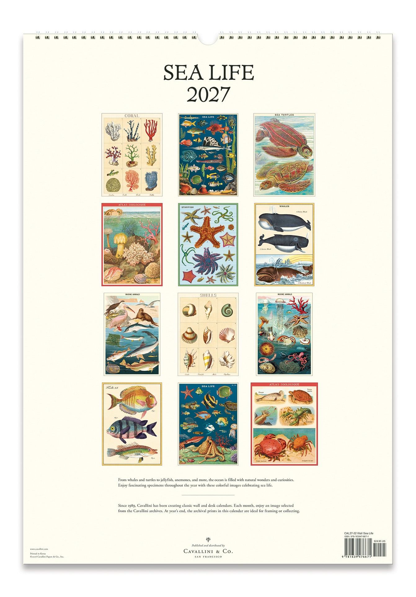 The back cover of the 2027 wall calendar titled 'SEA LIFE' featuring showing all 12 months of vintage-style marine illustrations on an off-white page. 
