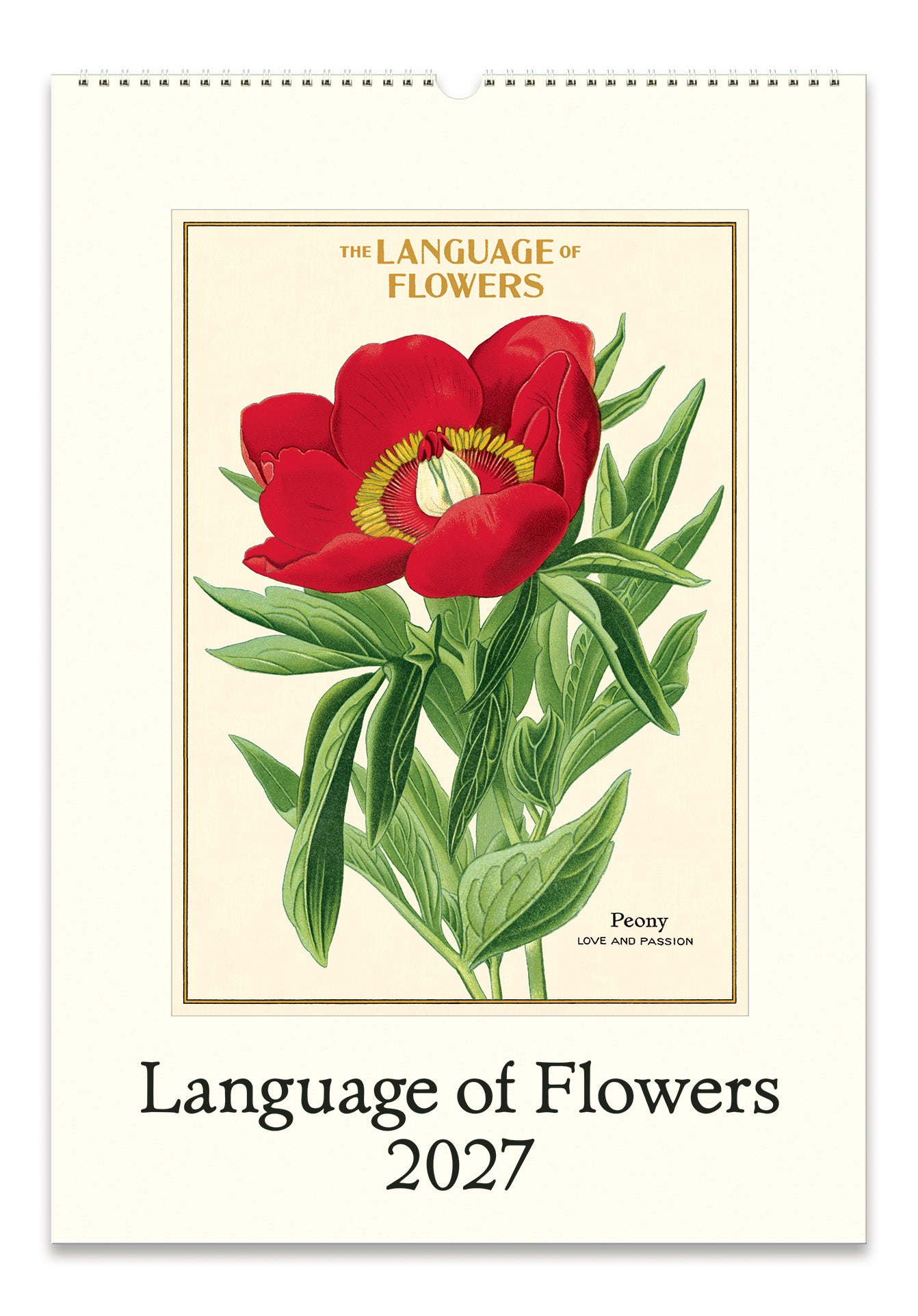 2027 Cavallini & Co. Language of Flowers Wall Calendar featuring a vintage botanical illustration of a red flower with green leaves on the front cover.