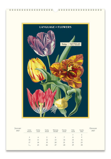 2027 Cavallini & Co. Language of Flowers Wall Calendar example page featuring a botanical illustration of tulips. 