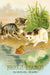 Included postcard example- Two kittens and a frog by a pond with 'Briggs Pianos Boston, Mass.' text.