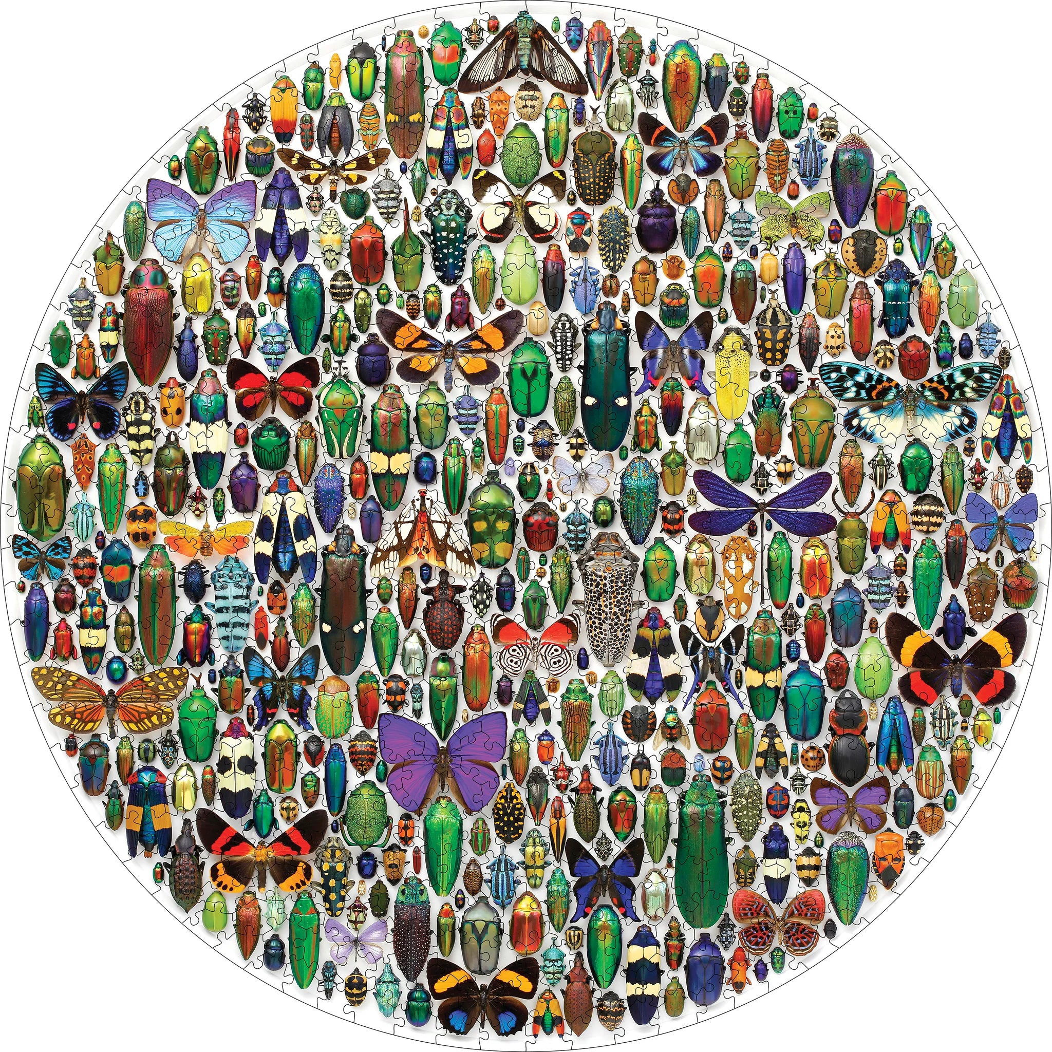Christopher Marley Macrocosm 500 Piece Circular Puzzle
