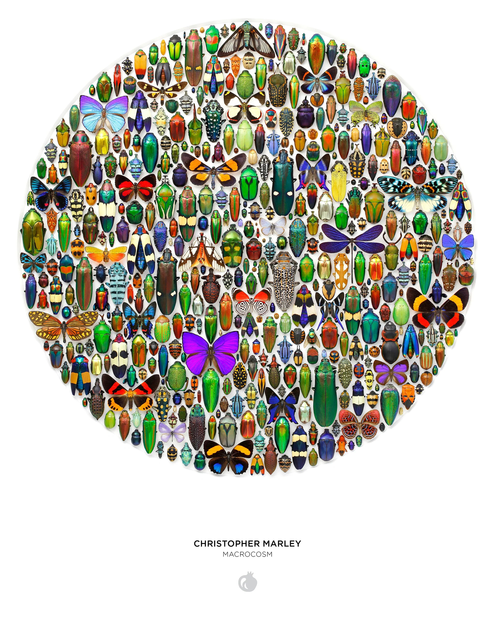 Christopher Marley Macrocosm 500 Piece Circular Puzzle