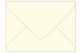 cream envelope for Happy Birthday Bird single card