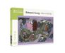 Pomegranate Edward Gorey 'Drop Curtain' puzzle packaging on a white background