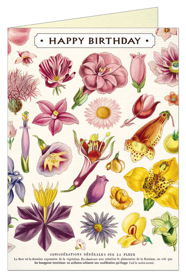 Cavallini & Co. Flower Specimens Single Blank Birthday Card