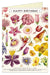 Cavallini & Co. Flower Specimens Single Blank Birthday Card