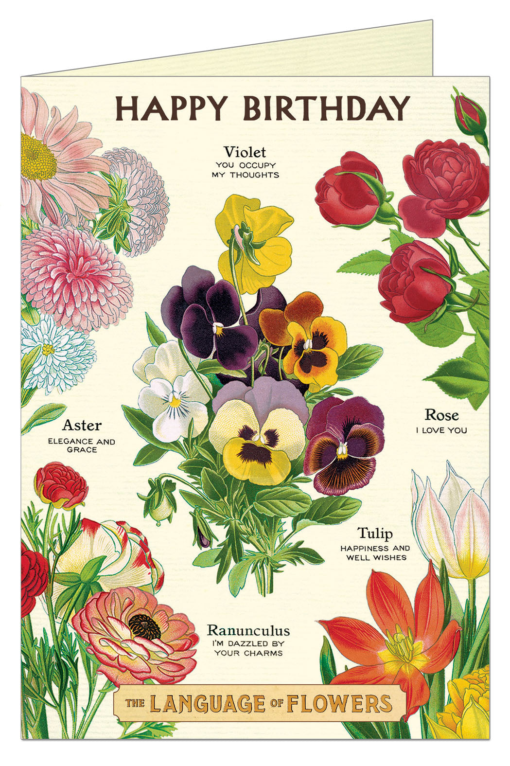 Cavallini & Co. Language of Flowers Single Blank Birthday Card