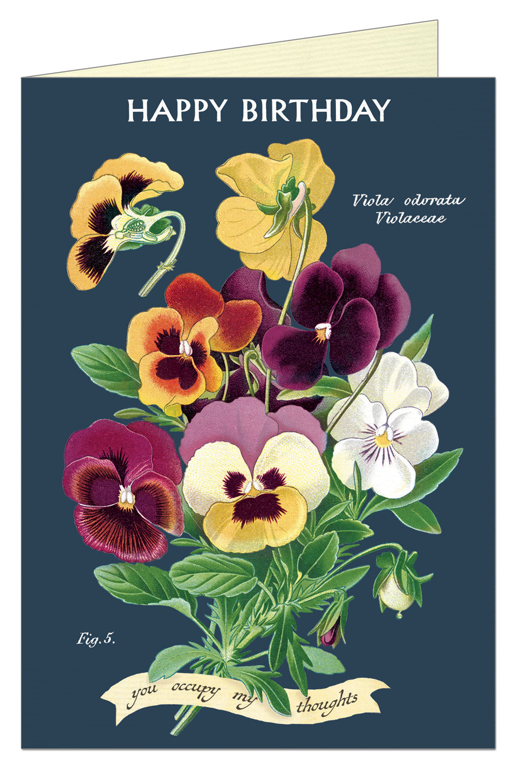Cavallini & Co. Bouquet of Violets Single Blank Birthday Card
