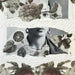 A monochrome collage-style artwork featuring a woman's face partially obscured by floral and leaf motifs, layered with torn paper textures and dotted lace-like bands.