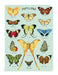 Cavallini & Co. Butterflies Mini Notebook Set