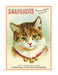 Cavallini & Co. Cats Mini Notebook Set- Vintage-style notebook with a cat illustration and text about pet photography.