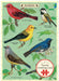 Jigsaw puzzle greeting card with illustrations of birds on a green background