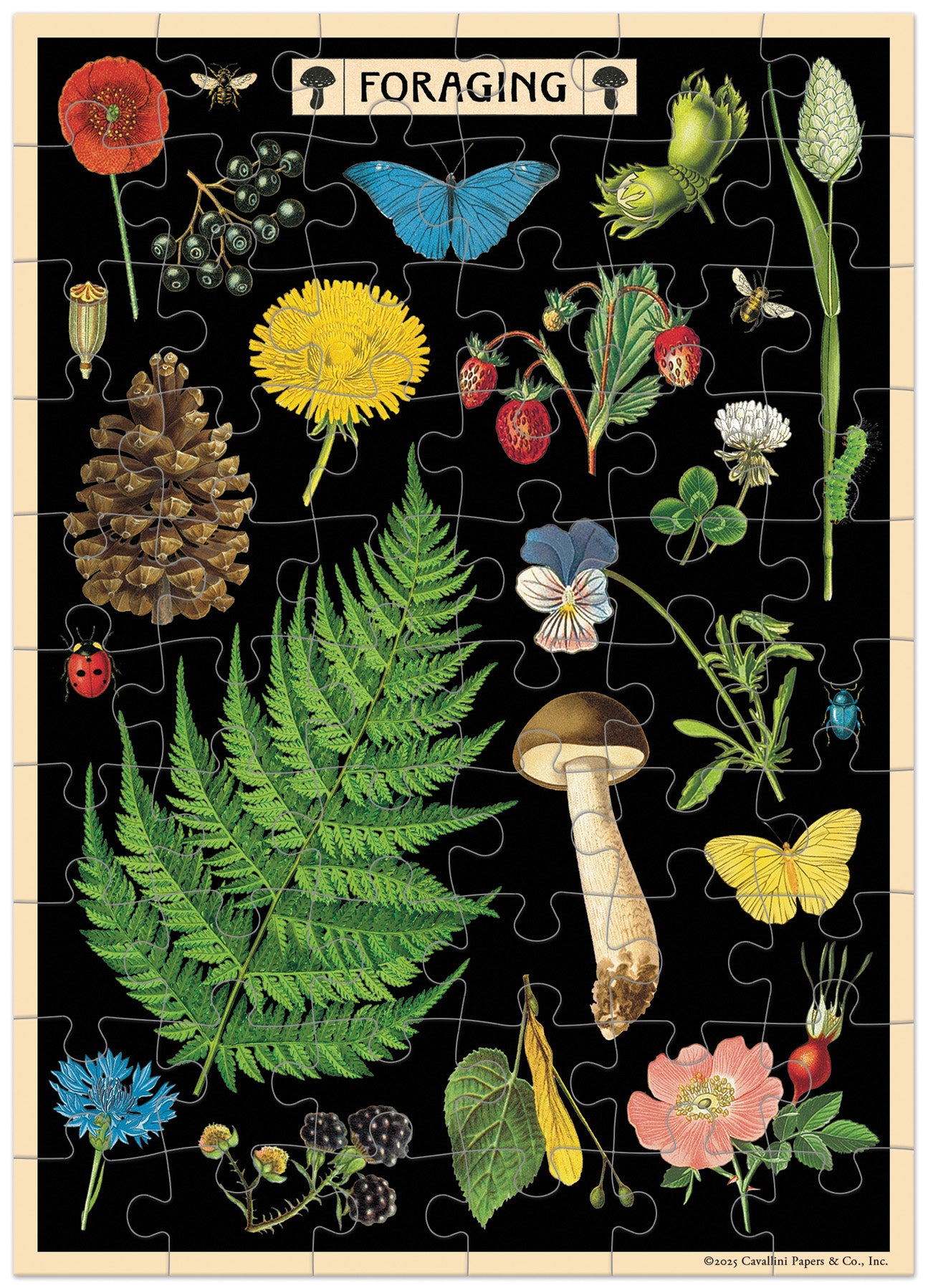Cavallini & Co. Foraging Puzzle Greeting Card