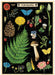 Cavallini & Co. Foraging Puzzle Greeting Card