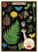 Cavallini & Co. Foraging Puzzle Greeting Card with vintage images of various forest floor flora and fauna