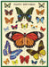 Cavallini & Co. Happy Birthday Butterflies Puzzle Greeting Card- miniature Jigsaw puzzle with illustrations of butterflies on a 'Happy Birthday' card
