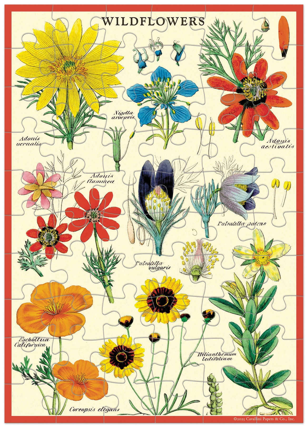 Jigsaw puzzle greeting card with illustrations of various wildflowers on a white background