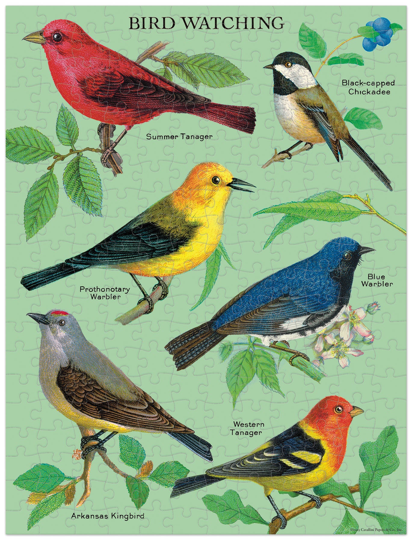 Cavallini & Co. Bird Watching 240 Piece Mini Puzzle finished puzzle- Illustration of various birds with labels on a green background