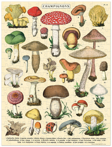 Cavallini & Co. Mushrooms 240 Piece Mini Puzzle image showing completed puzzle