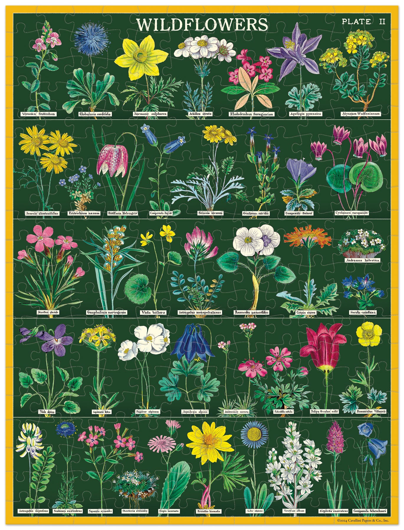 Cavallini & Co. Wildflowers 240 Piece Mini Puzzle image showing finished puzzle