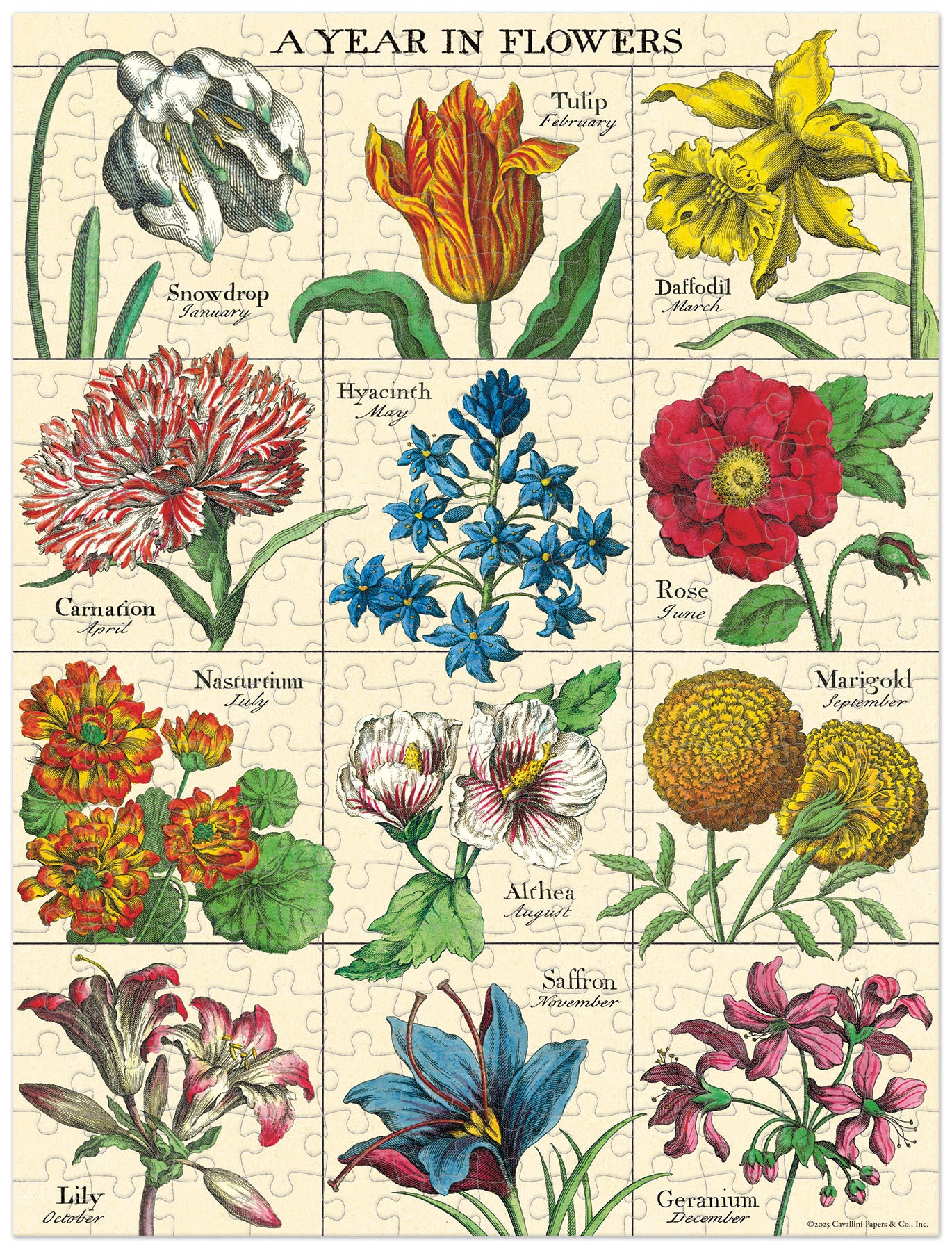 Cavallini & Co. A Year in Flowers 240 Piece Mini Puzzle- finished puzzle illustration of flowers corresponding to each month of the year on a grid.