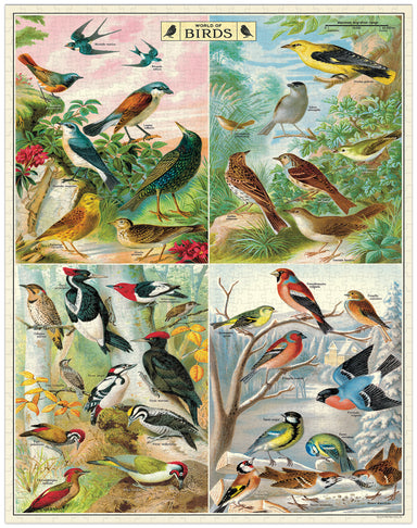 Cavallini & Co. World of Birds 1000 Piece Puzzle- finished puzzle images showing Illustrations of various birds in a collage format 