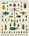 Image of Cavallini & Co. Bugs & Insects 1000 Piece Puzzle finished.