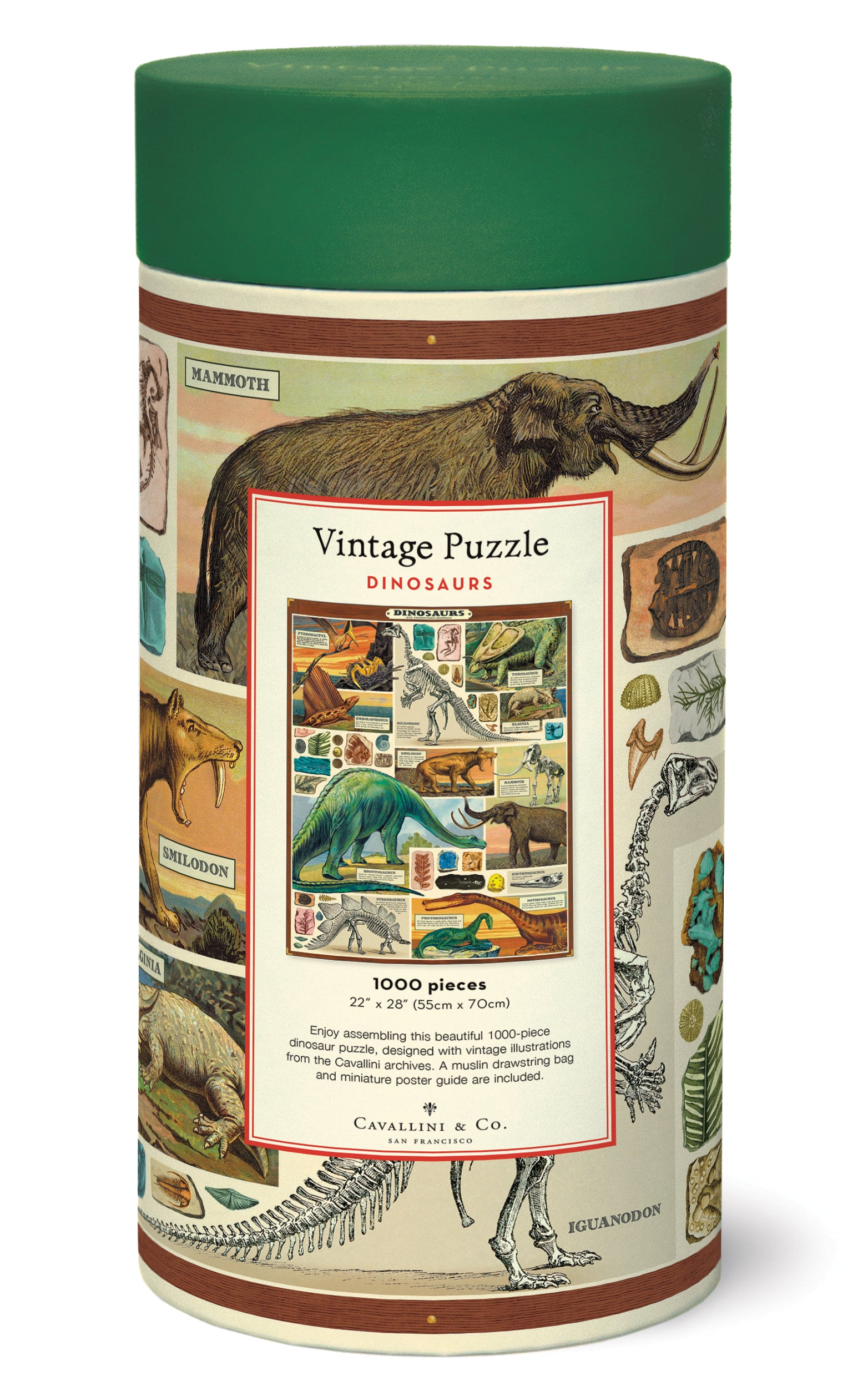 Cavallini & Co. Dinosaur 1000 Piece Puzzle back of package image