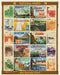Cavallini & Co. National Parks Collage 1000 Piece Puzzle finished puzzle