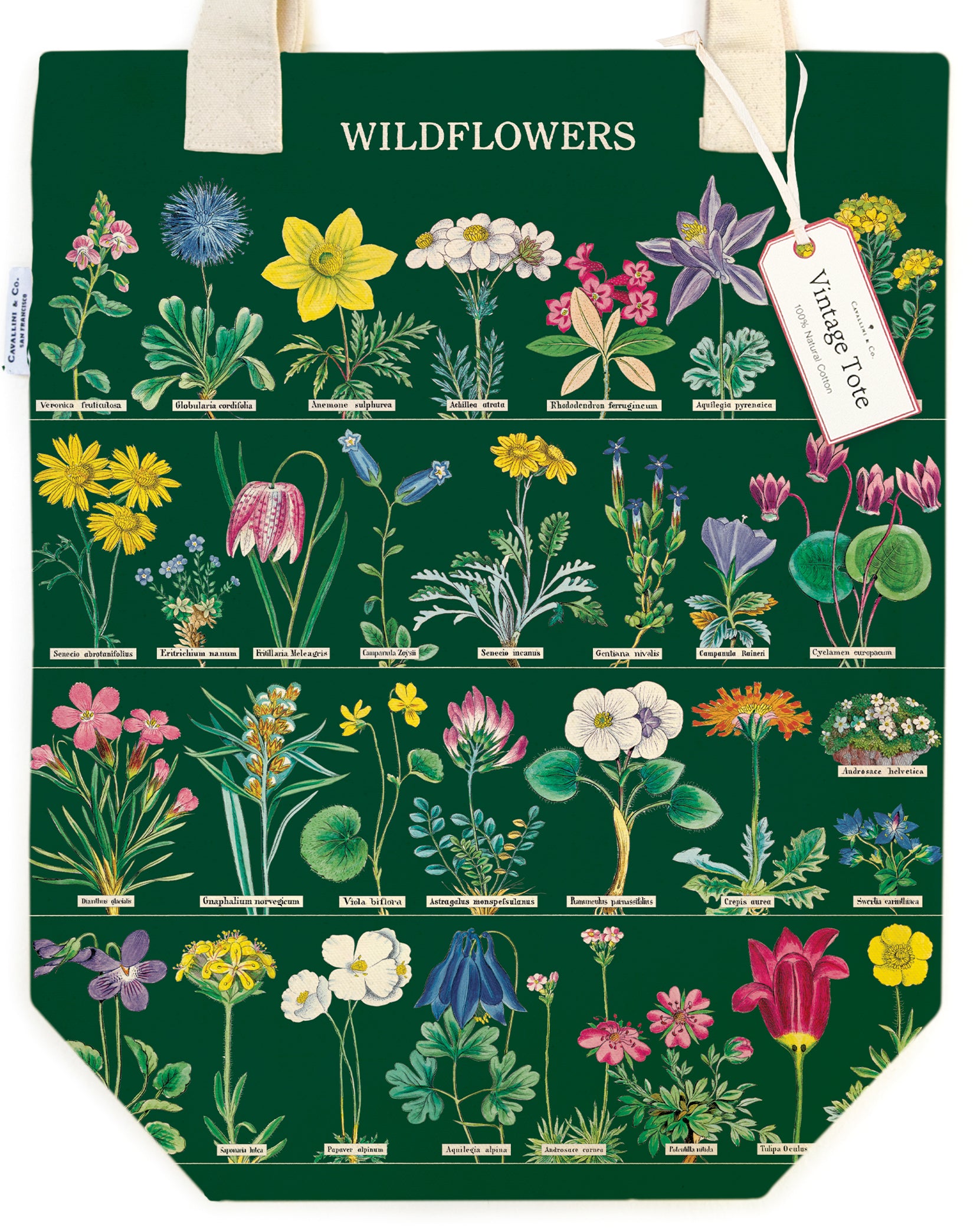 Cavallini & Co. Wildflowers in Bloom Cotton Tote Bag closeup view