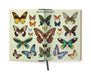 Butterflies Window Journal-Open book with illustrations of butterflies inside front cover on a white background