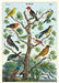 Cavallini & Co. Birds Decorative Paper