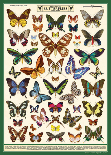Cavallini & Co. Field Guide to Butterflies Decorative Paper- a vintage-style chart of butterflies with a green border