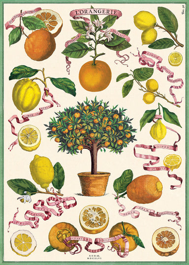 Cavallini & Co. L'Orangerie Decorative Paper