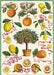 Cavallini & Co. L'Orangerie Decorative Paper