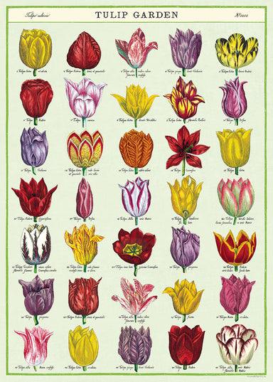 Cavallini & Co. Tulip Garden Decorative Paper
