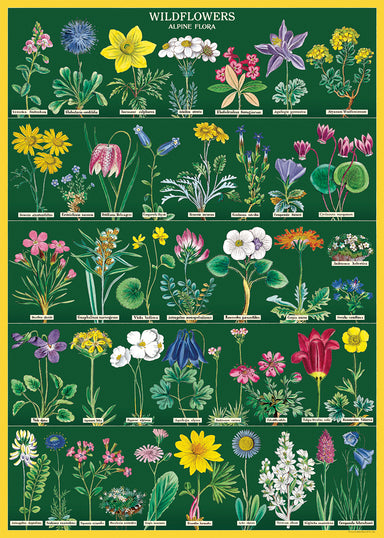 Cavallini & Co. Alpine Wildflowers Decorative Paper