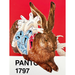 A surreal collage-style artwork showing a brown rabbit in front of a dissected anatomical heart on a red background, with the text 'PANT 1797' at the bottom.