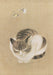 Sleeping Cat and Butterflies Small Boxed Cards