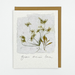 Black Eyed Suzie Designs Pack of Four Cards and Envelopes- Queen Anne's Lace