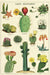 Postcards are approximately 3 7/8 by 5 3/4 inches.