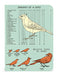 This set of three high quality notebooks features reproductions of vintage images. 