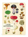 The Mini Notebooks measure 4 by 5.5 inches. 