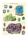 The Mini Notebooks measure 4 by 5.5 inches. 