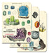 This mini notebook set of three high quality notebooks features bright and colorful reproductions of vintage scientific images to motivate anyone to get outdoors and be a rockhound!