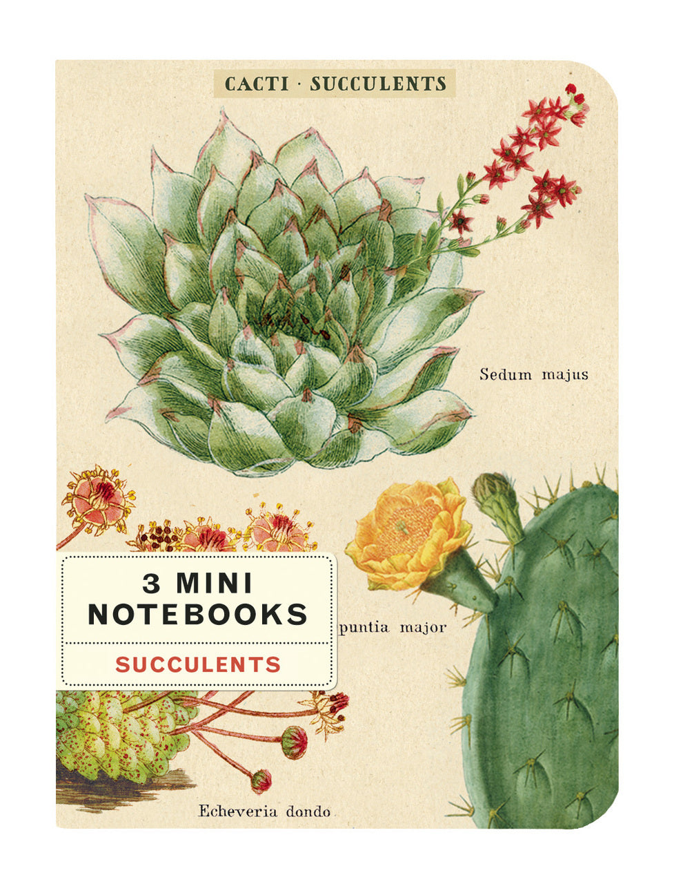 Three different sets of images adorn the covers.